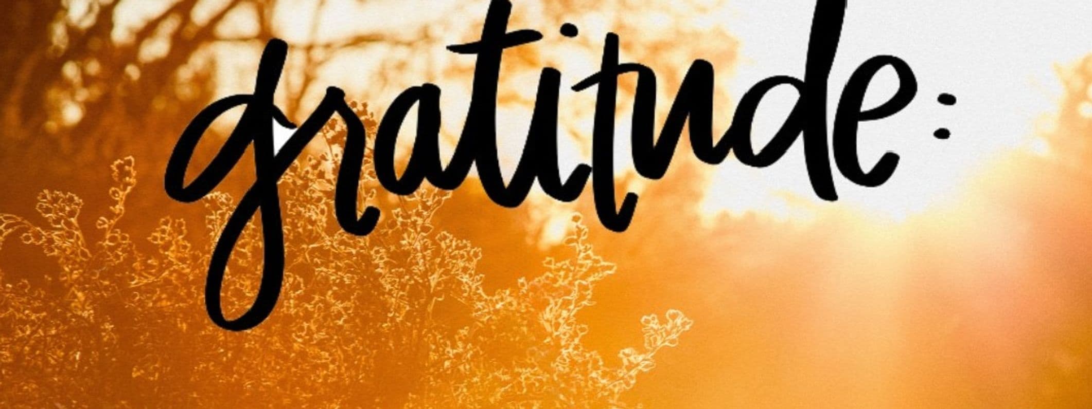 How to Live a Life of Gratitude: Signs, Benefits, and Simple Daily Practices