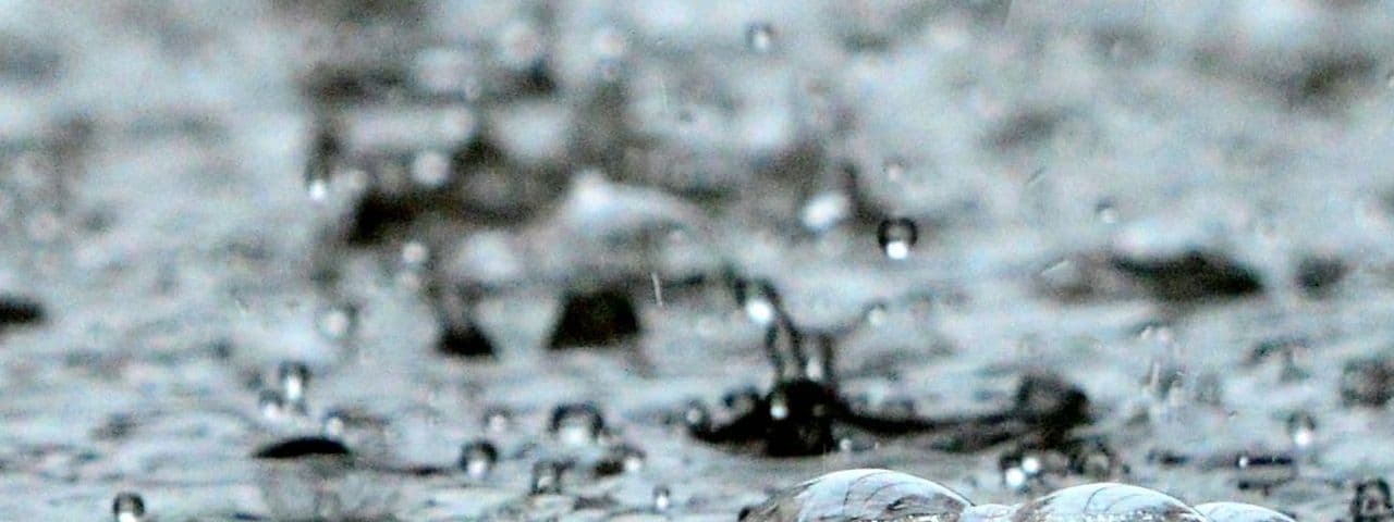It Rained in My Head, But Now I’m Blooming: Life Coaching Tips for Joy