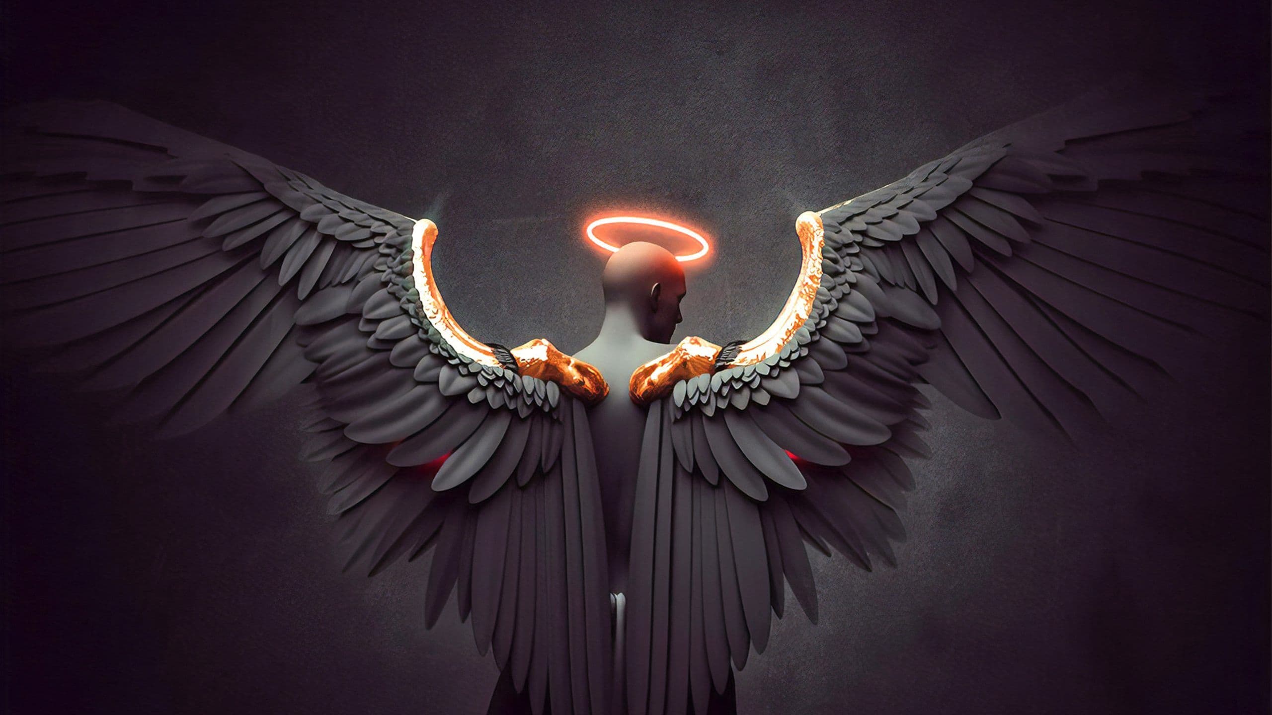 What are Black -Winged Angels?
